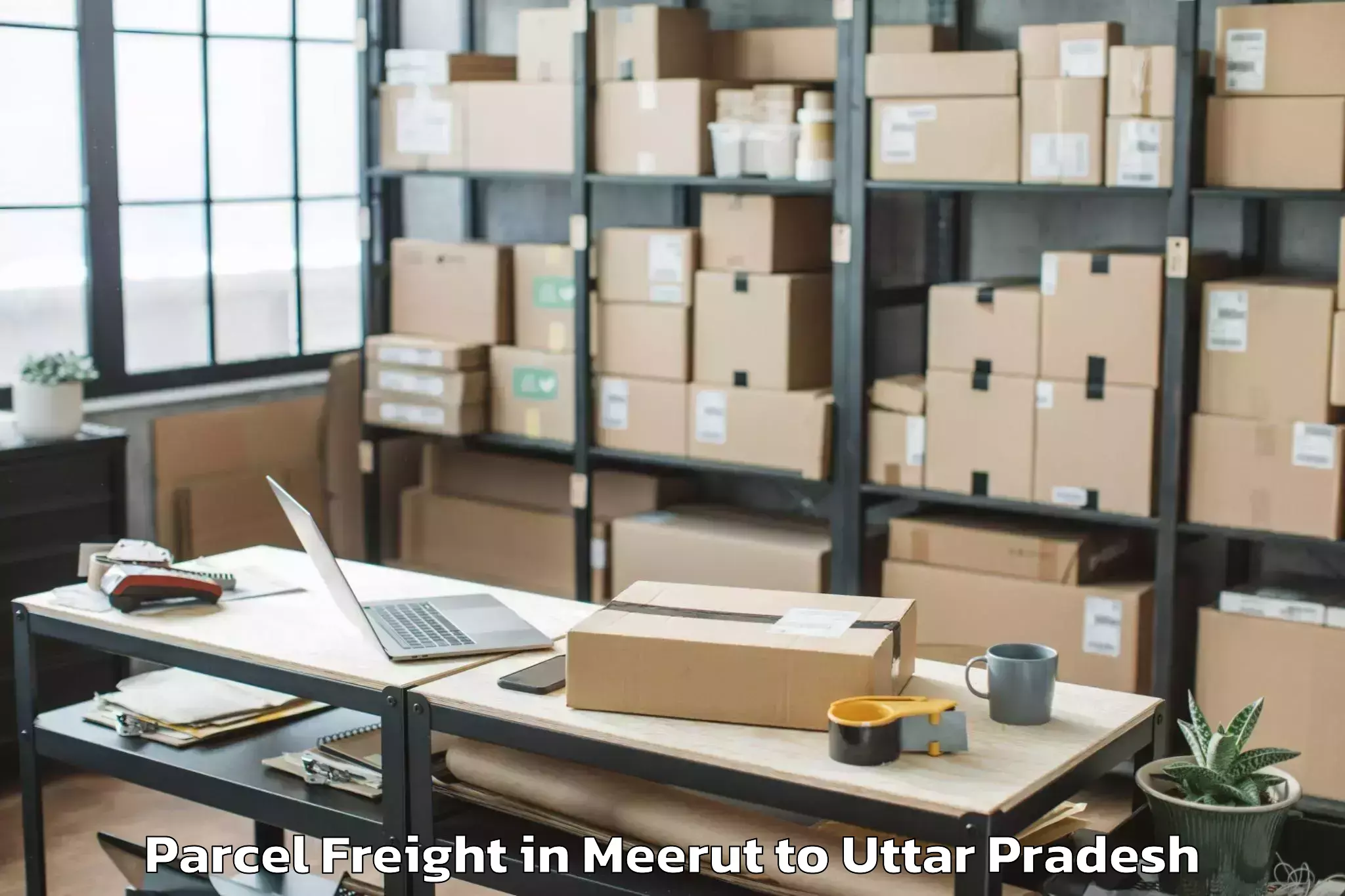 Book Meerut to Mahavan Parcel Freight Online